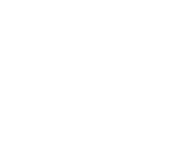 OBI